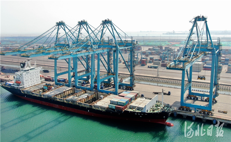 外贸“开门红” 13.8%增速背后有哪些新变化