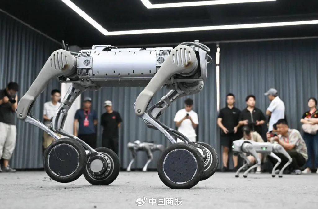 借道投资宇树科技 险资竞逐硬科技风口